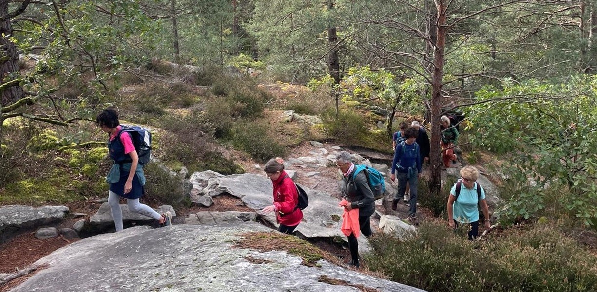 Le JCD à Fontainebleau